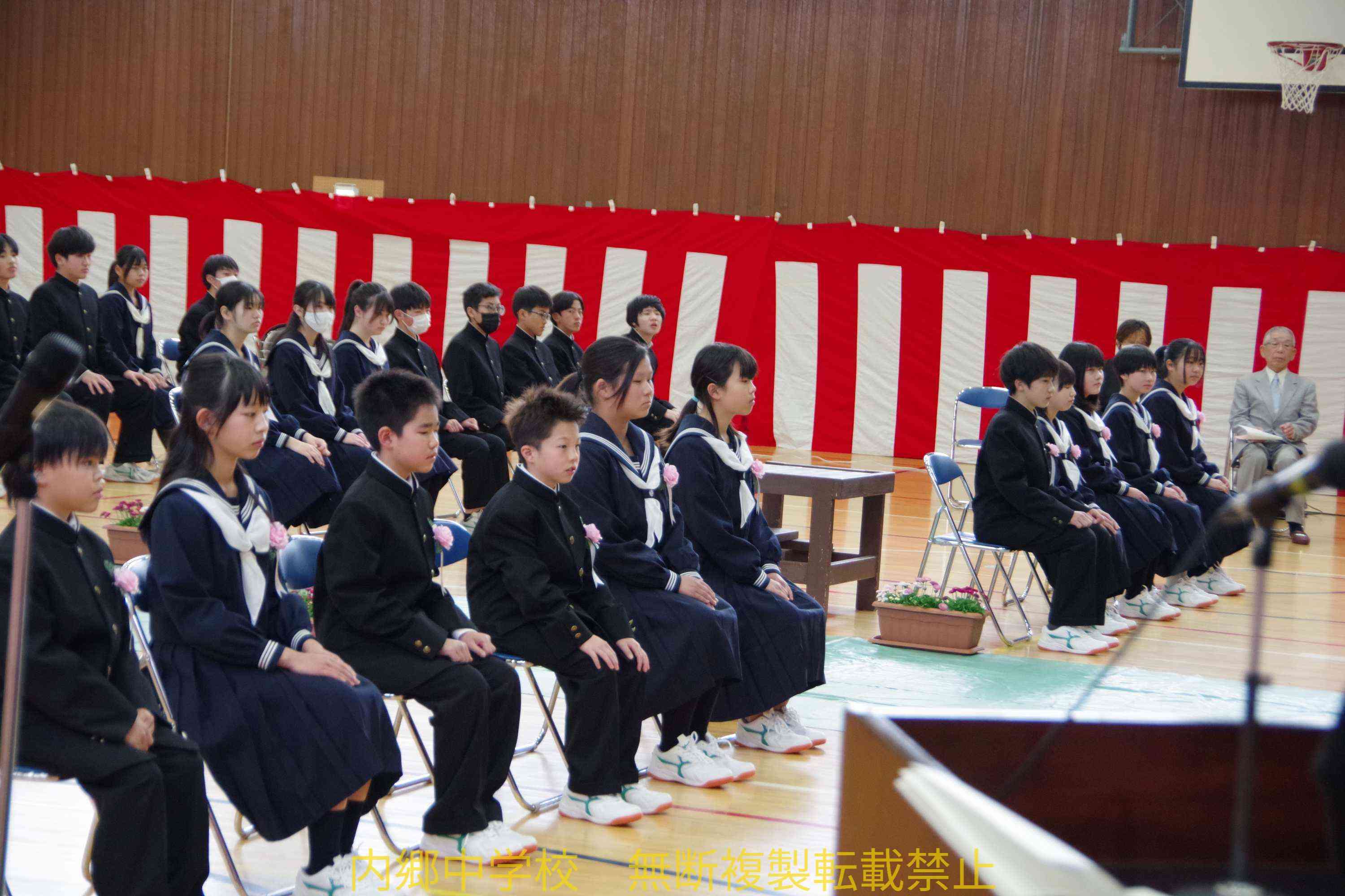 IMGP6245 (1) (2)