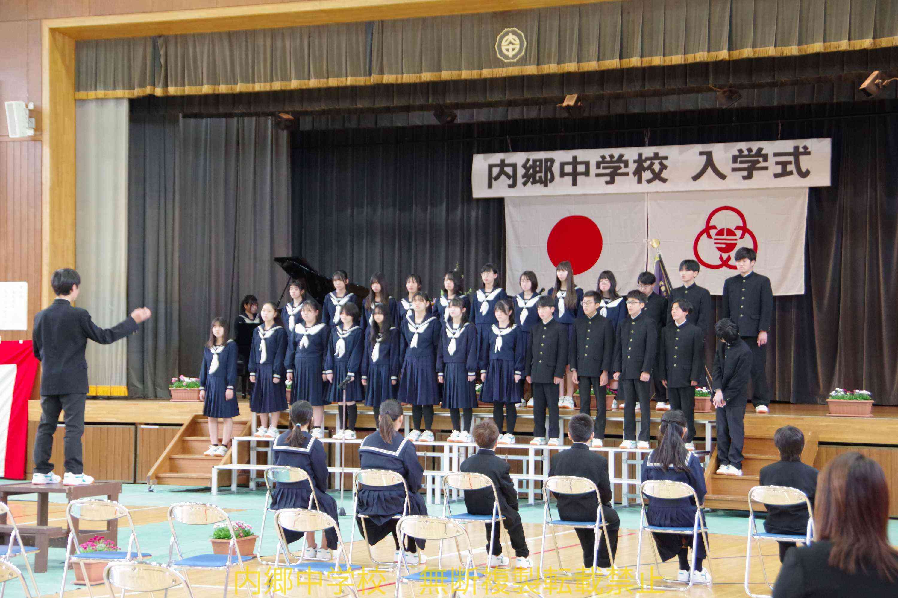 IMGP6275 (1) (2)