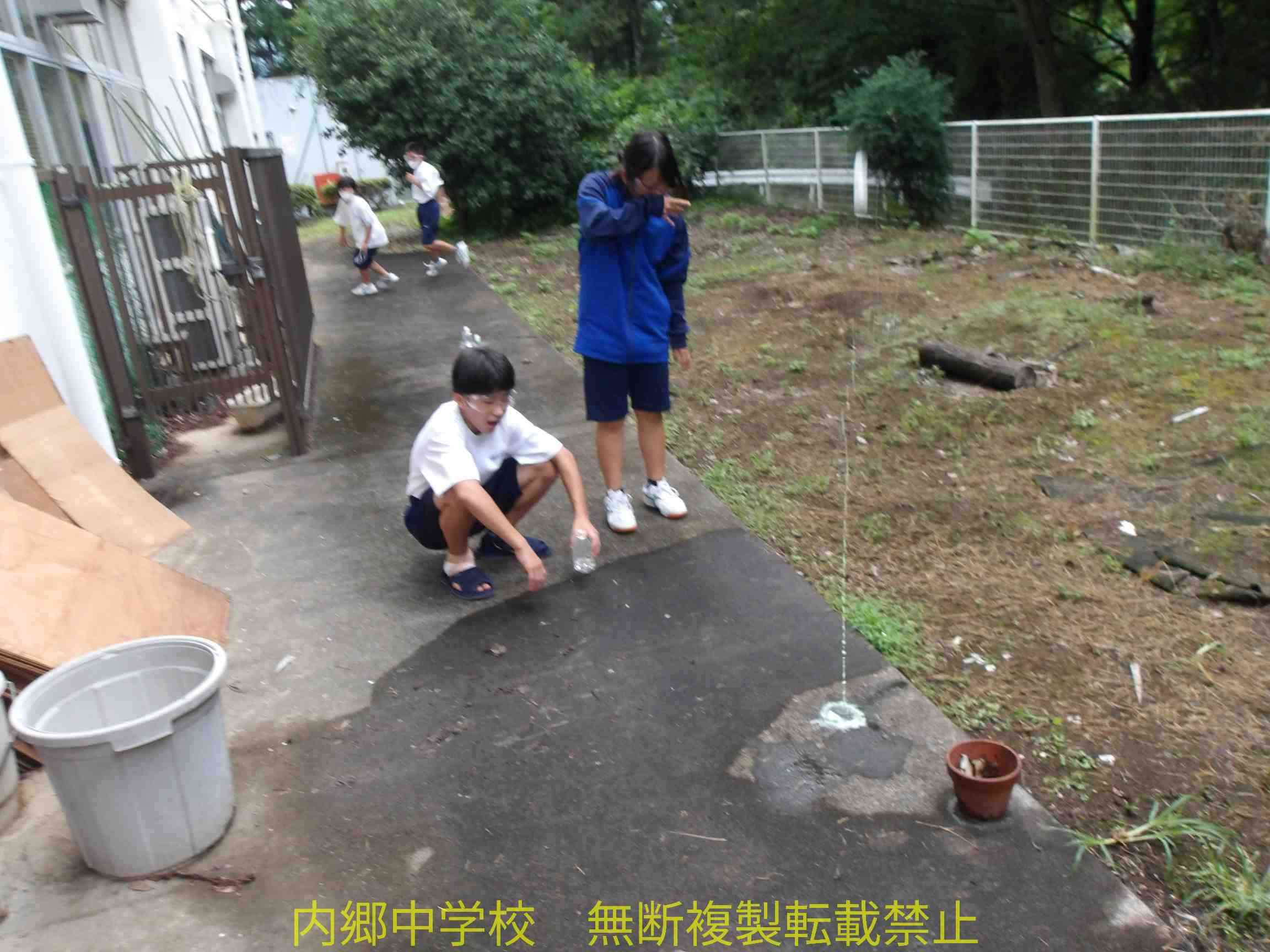 100_0965 (1) (2)
