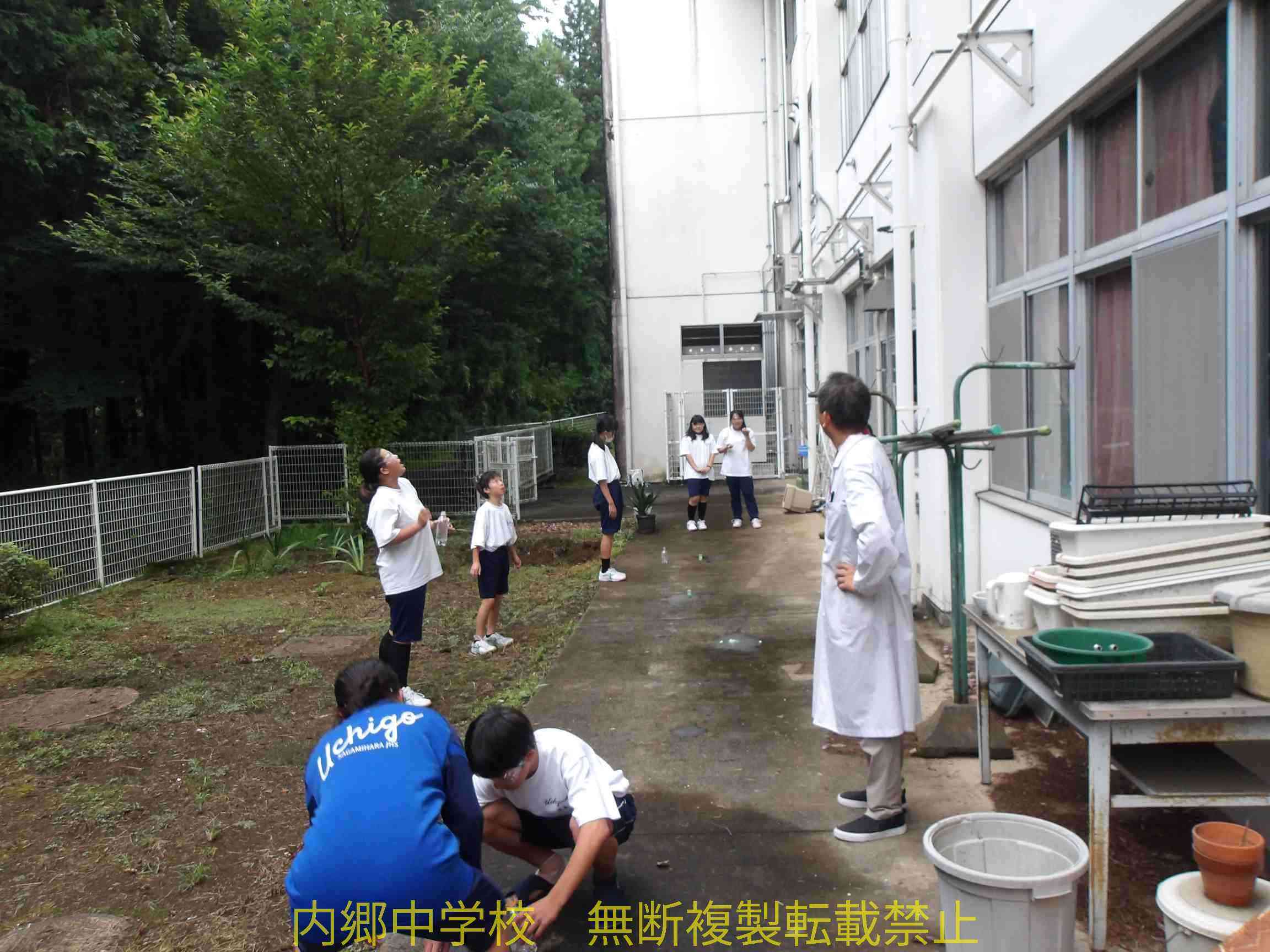 100_0968 (1) (2)