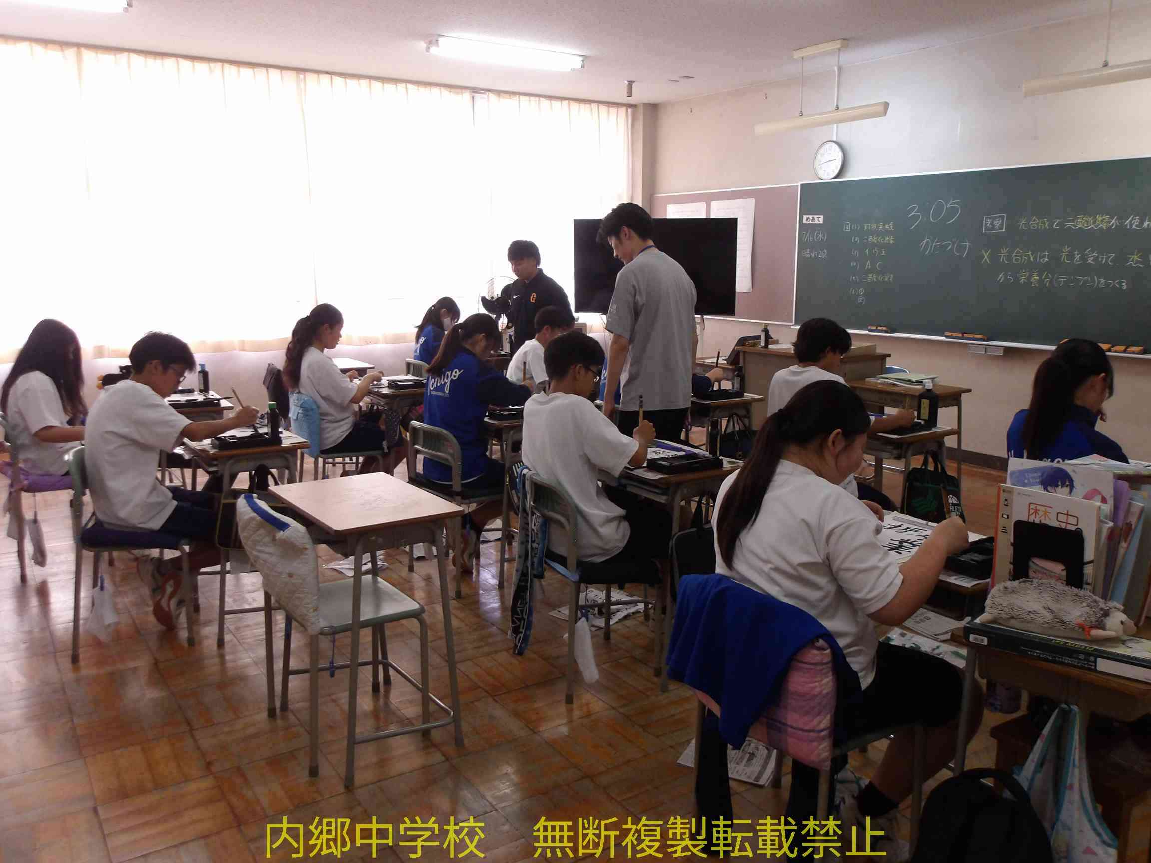 100_0991 (1) (1)